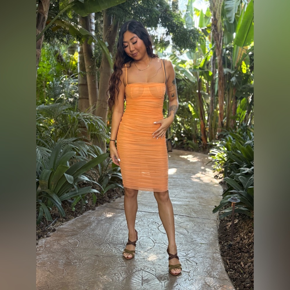 Aritzia Wilfred Rivers Dress